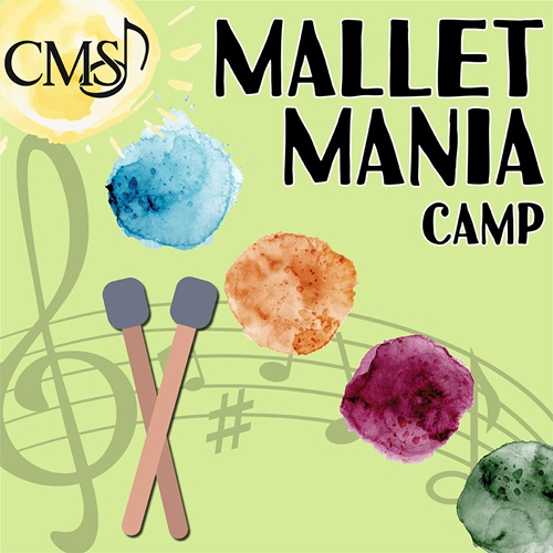 Mallet Mania Camp 2024